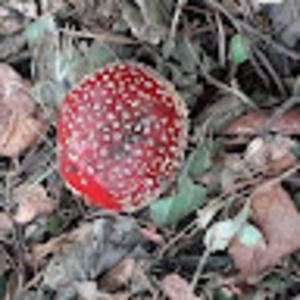 Meet your Posher, Doris